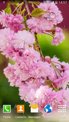 Cherry Blossom Live Wallpaperのおすすめ画像4