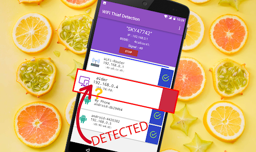 WiFi Dieb Detektor Screenshot
