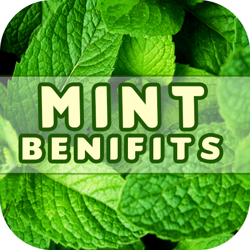 Mint Benefits  Icon