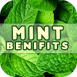 Cover Image of Download Mint Benefits  APK
