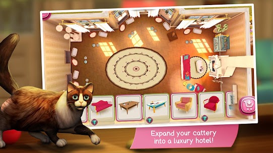CatHotel MOD APK- play with cute cats (Unlimited Money) 3