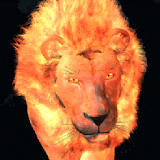 Flaming Lion Live Wallpaper icon