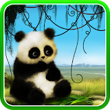 Animated Panda Live Wallpaper icon