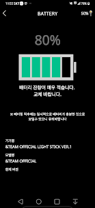 &TEAM Official Light Stick