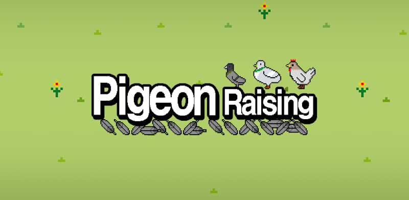 Pigeon Raising