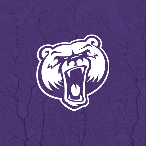 Bellevue Bruins logo