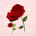 Flowers and Roses Stickers WAS APK