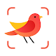 Picture Bird MOD APK 2.9.26 (Premium Unlocked)