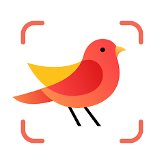 Aplicativo Picture Bird – Identifique pássaros com apenas uma foto