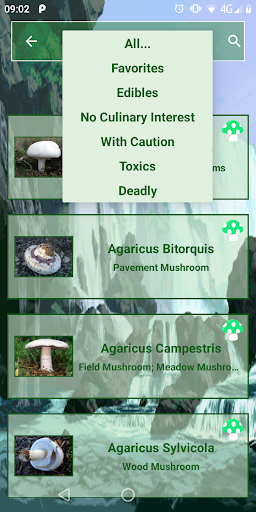 Mushrooms Guide Screen 3
