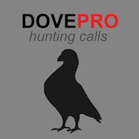 Dove Calls for Hunting