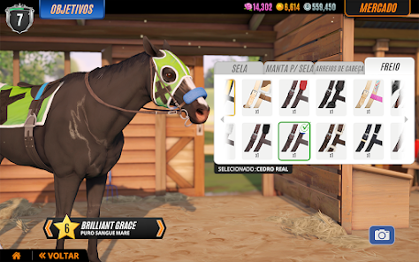 Jogos de Cavalos: Conheça os Mais Populares do Mercado