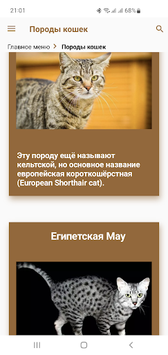 Кошки. Зоогалактика Screen 2