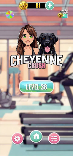 Android application Cheyenne Crush screenshort
