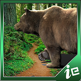 Able Bear Simulator icon