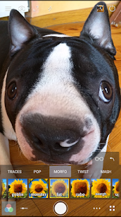 Cameringo+ Filters Camera Screenshot