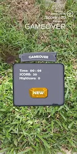 Whack A Mole AR