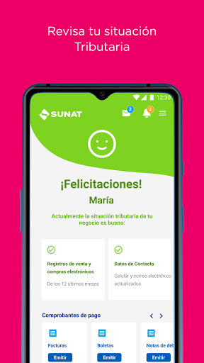 Emprender SUNAT Screen 3