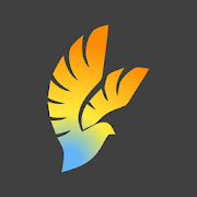 Phoenix (R) для ВКонтакте