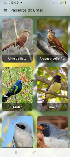 Anteprima dell'app