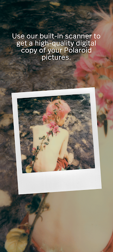 Polaroid Screen 3