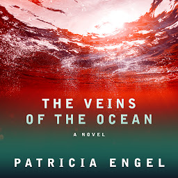 Icon image The Veins of the Ocean: A Novel