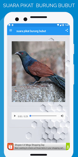suara pikat burung bubut Screen 3