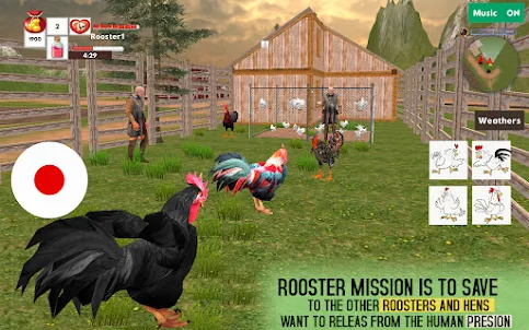 Black Rooster Simulator