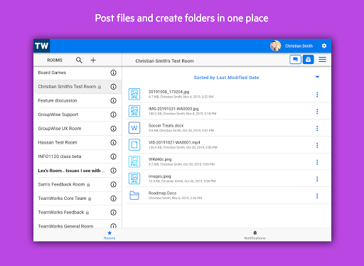 Micro Focus TeamWorks