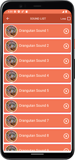 Orangutan Sounds Screen 3