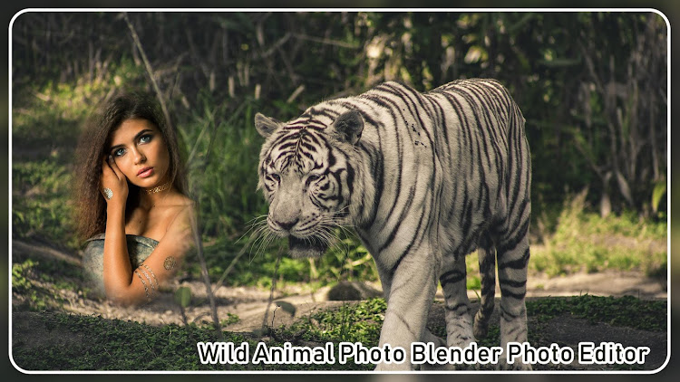 WILD ANIMAL PHOTO EDITOR & WIL - 1.0 - (Android)