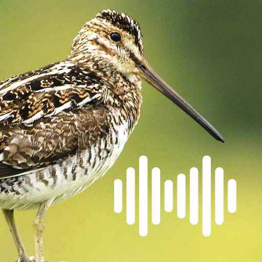 Woodcock Hunting Calls logo