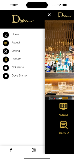 Dem Pavia Screen 2