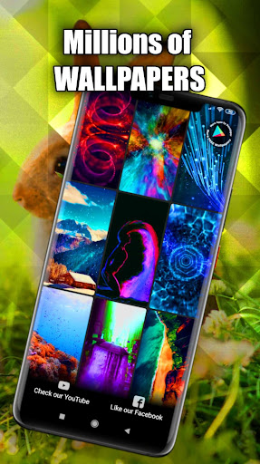 Rabbit Wallpaper Live HD/3D/4K Screen 3