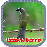 Trinca Ferro mp3 Offline icon