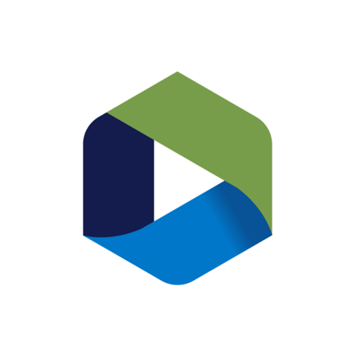 BSF TREASURY MANAGEMENT logo