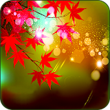 Maple Leaves Live Wallpaper icon