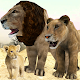 Lion Family Simulator
