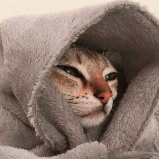 خلفيات قطط CATZ logo