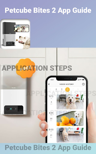 Petcube Bites 2 App Guide