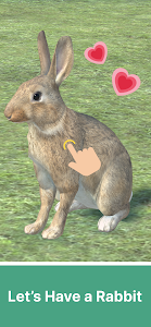 Adopt A Rabbit : Virtual Pet Unknown