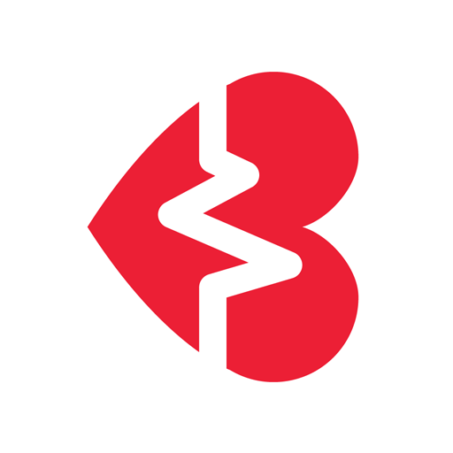 BRAVE logo