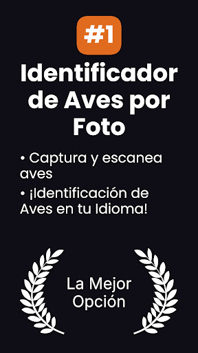 Vista previa de la aplicación