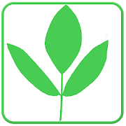 Medicinal Plants and uses  Icon
