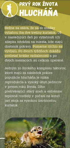 Western Capercaillie Screen 2