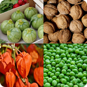Find Fruit, Vegetables, Nuts, Spices