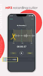 Voice Recorder, Audio Recorder v1.2.5 Pro Mod 3