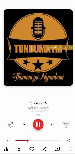 Tanzania Radio: All Stations Screenshot 2 - AppWisp.com