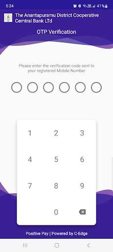ADCCB Bank Positive Pay Screen 3