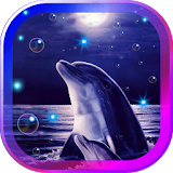 Dolphins Sounds live wallpaper icon